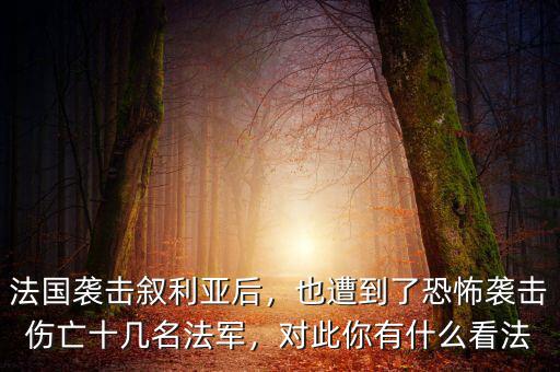 法國襲擊敘利亞后，也遭到了恐怖襲擊傷亡十幾名法軍，對此你有什么看法
