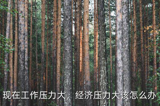 現(xiàn)在工作壓力大，經(jīng)濟(jì)壓力大該怎么辦