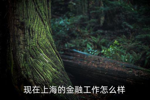 上?；バ沤鹑谠趺礃?上海立信會計金融學(xué)院怎么樣