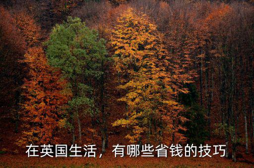 在英國(guó)生活，有哪些省錢(qián)的技巧