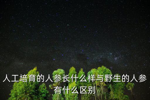 人工培育的人參應該怎么吃,人工培育人參生芽能食用嗎