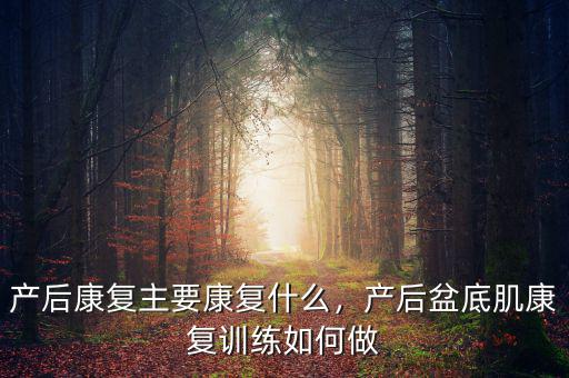 產(chǎn)后康復主要康復什么，產(chǎn)后盆底肌康復訓練如何做