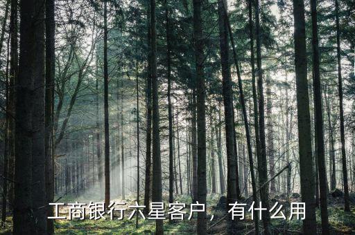 工商銀行六星客戶，有什么用