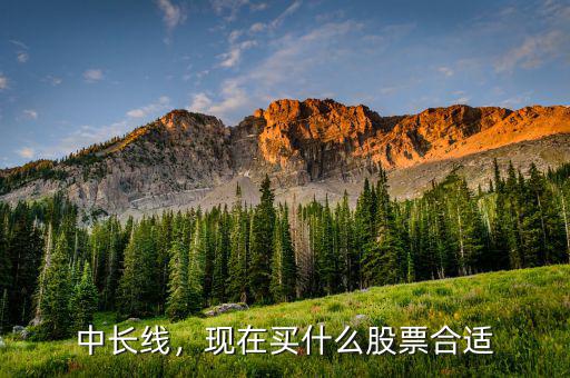 中長(zhǎng)線(xiàn)，現(xiàn)在買(mǎi)什么股票合適
