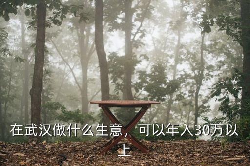 在武漢做什么生意，可以年入30萬以上