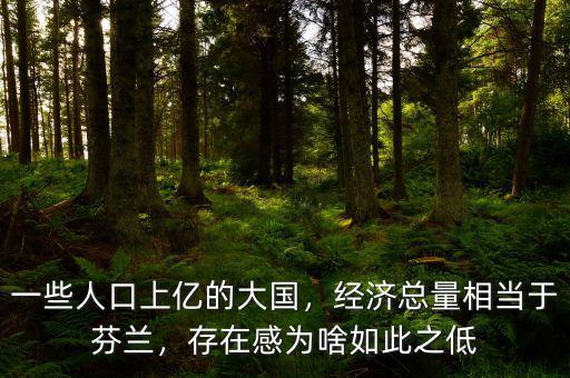 一些人口上億的大國，經濟總量相當于芬蘭，存在感為啥如此之低