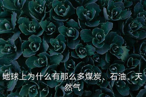地球上為什么有那么多煤炭、石油、天然氣