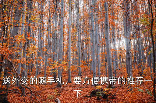 送外交的隨手禮，要方便攜帶的推薦一下