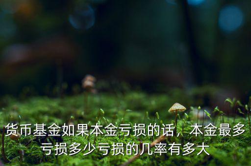 貨幣基金如果本金虧損的話，本金最多虧損多少虧損的幾率有多大