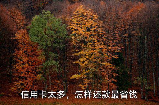 信用卡太多，怎樣還款最省錢