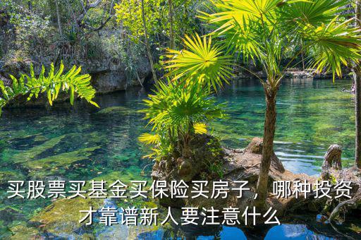 買股票買基金買保險買房子，哪種投資才靠譜新人要注意什么