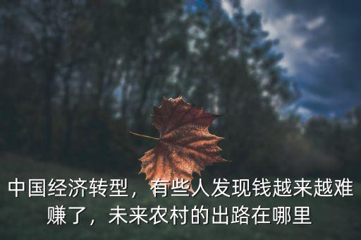 中國經(jīng)濟轉(zhuǎn)型，有些人發(fā)現(xiàn)錢越來越難賺了，未來農(nóng)村的出路在哪里