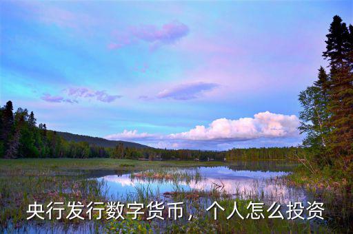 央行發(fā)行數(shù)字貨幣，個(gè)人怎么投資