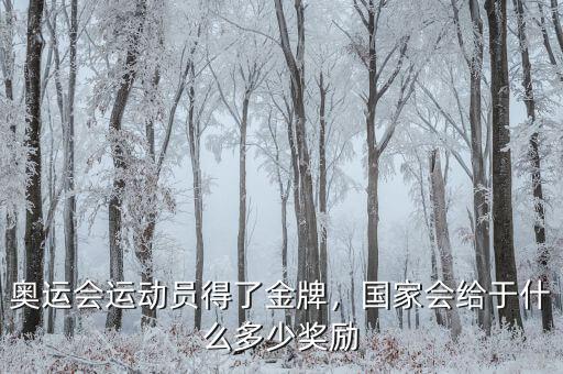 奧運(yùn)會(huì)運(yùn)動(dòng)員得了金牌，國(guó)家會(huì)給于什么多少獎(jiǎng)勵(lì)