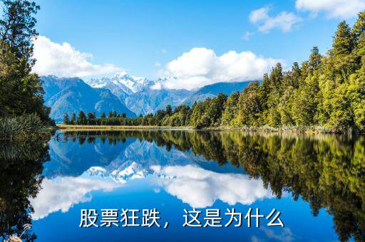 股票狂跌，這是為什么