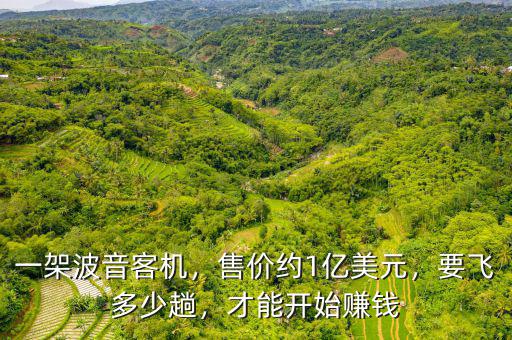 波音一架飛機(jī)利潤多少,一架波音客機(jī)