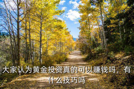 大家認為黃金投資真的可以賺錢嗎，有什么技巧嗎