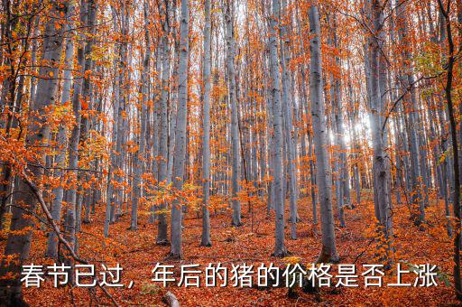 春節(jié)已過，年后的豬的價格是否上漲