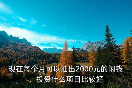 現(xiàn)在每個(gè)月可以抽出2000元的閑錢，投資什么項(xiàng)目比較好