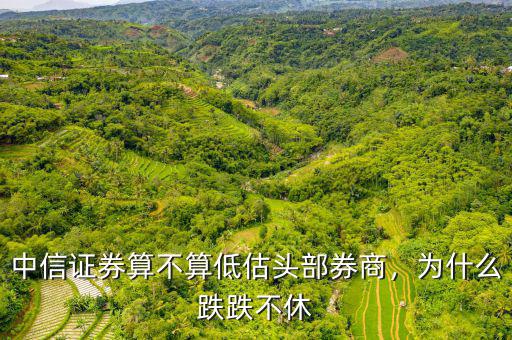 中信證券算不算低估頭部券商，為什么跌跌不休