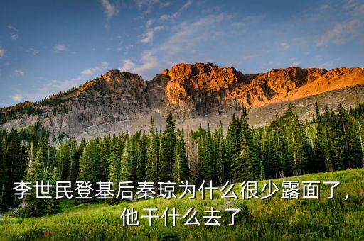 李世民登基后秦瓊為什么很少露面了，他干什么去了