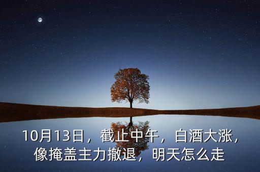 10月13日，截止中午，白酒大漲，像掩蓋主力撤退，明天怎么走