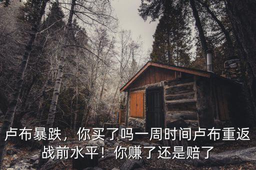 盧布暴跌，你買了嗎一周時間盧布重返戰(zhàn)前水平！你賺了還是賠了