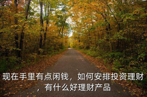 現(xiàn)在手里有點閑錢，如何安排投資理財，有什么好理財產(chǎn)品