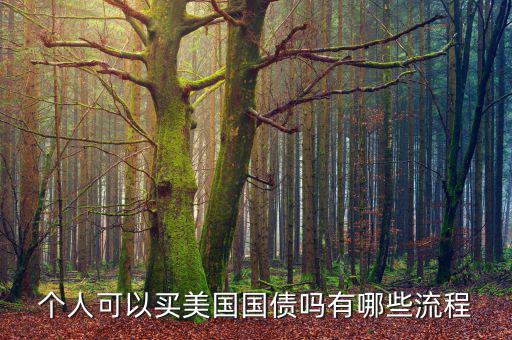 個(gè)人可以買美國國債嗎有哪些流程