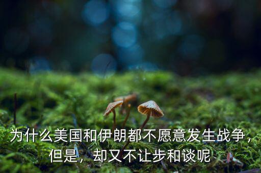為什么美國和伊朗都不愿意發(fā)生戰(zhàn)爭，但是，卻又不讓步和談呢