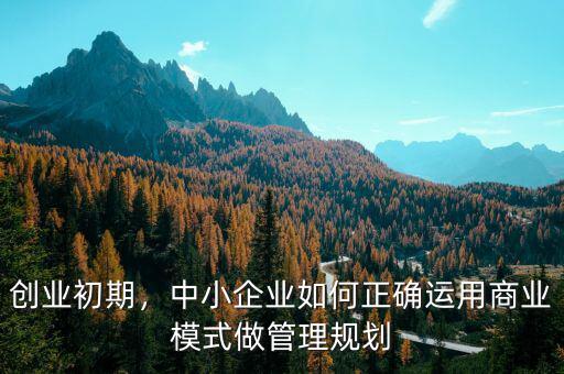 創(chuàng)業(yè)初期，中小企業(yè)如何正確運(yùn)用商業(yè)模式做管理規(guī)劃