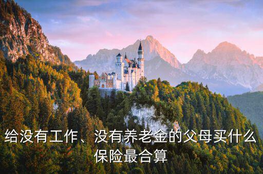 給沒有工作、沒有養(yǎng)老金的父母買什么保險(xiǎn)最合算