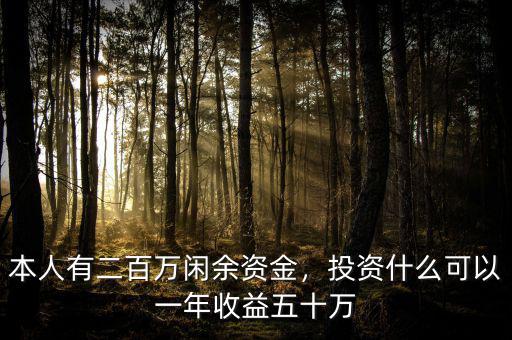 本人有二百萬閑余資金，投資什么可以一年收益五十萬