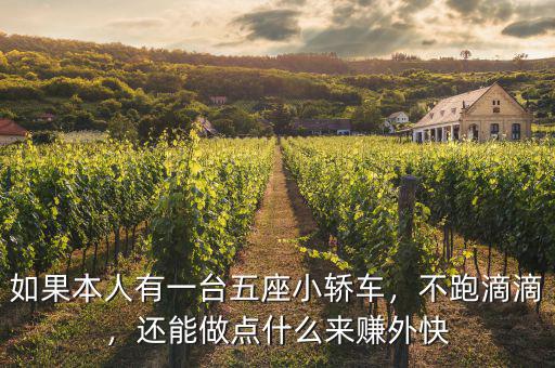 如果本人有一臺五座小轎車，不跑滴滴，還能做點什么來賺外快