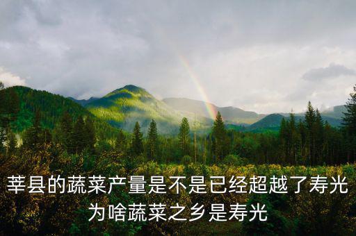 莘縣的蔬菜產量是不是已經超越了壽光為啥蔬菜之鄉(xiāng)是壽光