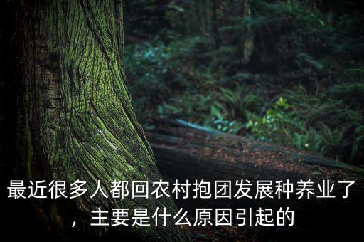 最近很多人都回農(nóng)村抱團(tuán)發(fā)展種養(yǎng)業(yè)了，主要是什么原因引起的