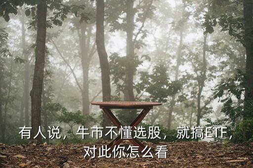 有人說，牛市不懂選股，就搞ETF，對此你怎么看