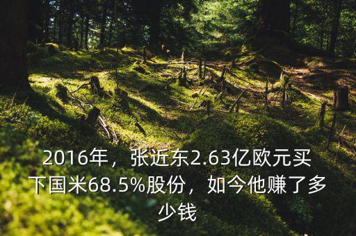 2016年，張近東2.63億歐元買下國(guó)米68.5%股份，如今他賺了多少錢