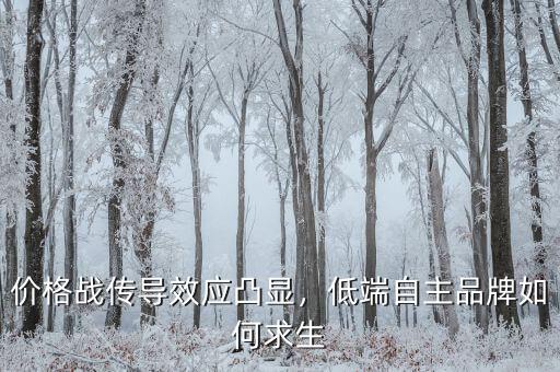 價(jià)格戰(zhàn)傳導(dǎo)效應(yīng)凸顯，低端自主品牌如何求生