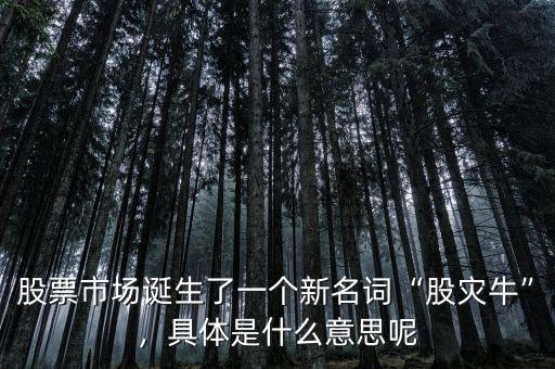 股票市場誕生了一個(gè)新名詞“股災(zāi)?！?，具體是什么意思呢