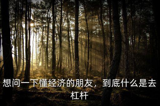 想問一下懂經(jīng)濟的朋友，到底什么是去杠桿
