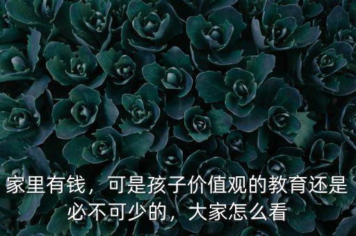家里有錢(qián)，可是孩子價(jià)值觀的教育還是必不可少的，大家怎么看