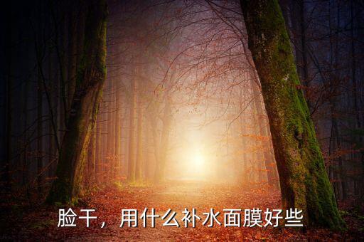 臉干，用什么補(bǔ)水面膜好些