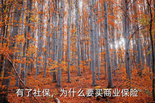 有了社保，為什么要買商業(yè)保險
