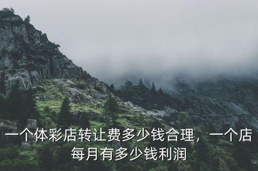 一個體彩店轉(zhuǎn)讓費多少錢合理，一個店每月有多少錢利潤