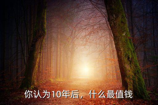 你認(rèn)為10年后，什么最值錢