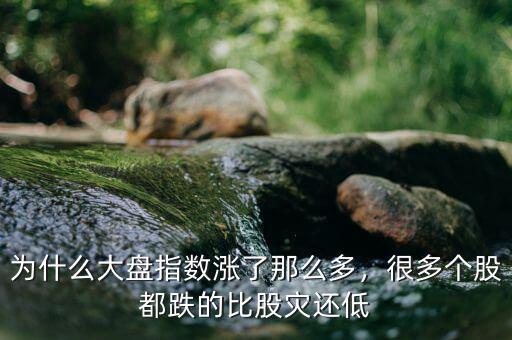 為什么大盤指數(shù)漲了那么多，很多個(gè)股都跌的比股災(zāi)還低