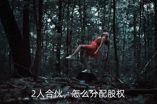 2人合伙，怎么分配股權(quán)