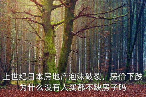 上世紀(jì)日本房地產(chǎn)泡沫破裂，房?jī)r(jià)下跌為什么沒(méi)有人買都不缺房子嗎