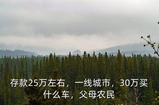 存款25萬左右，一線城市，30萬買什么車，父母農(nóng)民